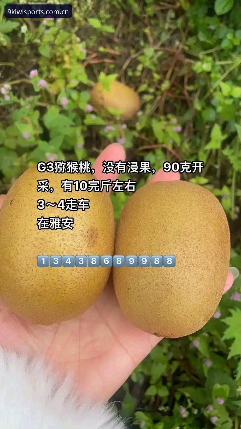 奇异果体育免费下载到底靠不靠谱？实测v3.2.1版本给出答案